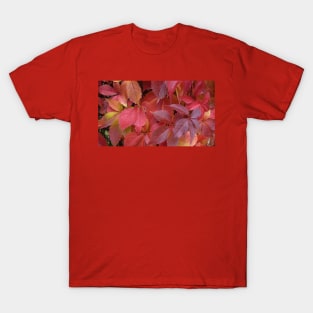 Red Autumn Leaves T-Shirt